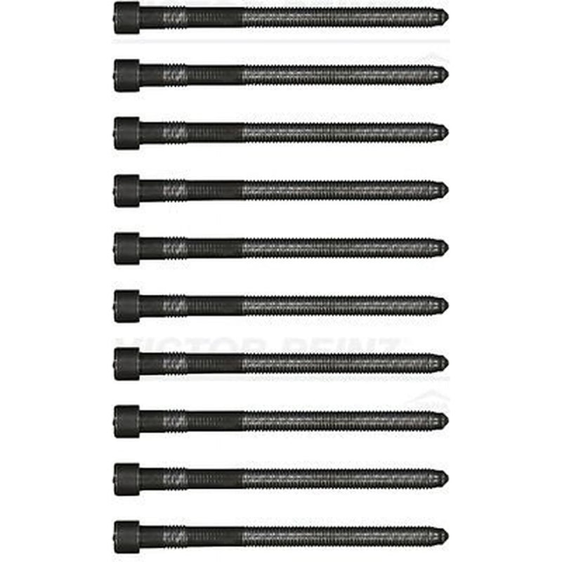 Victor Reinz Cylinder Head Bolt Set M10 14-32166-01