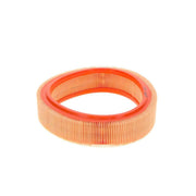 Bosch Engine Air Filter 1 457 429 923
