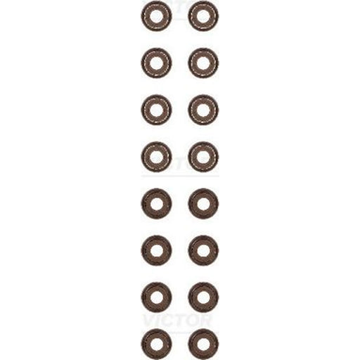 Victor Reinz Valve Stem Seal Set ID High 12-53593-01
