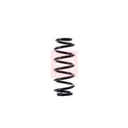 Apec Front & Rear Suspension Springs ACS1384
