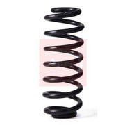 Apec Rear Suspension Coil Spring ACS2199