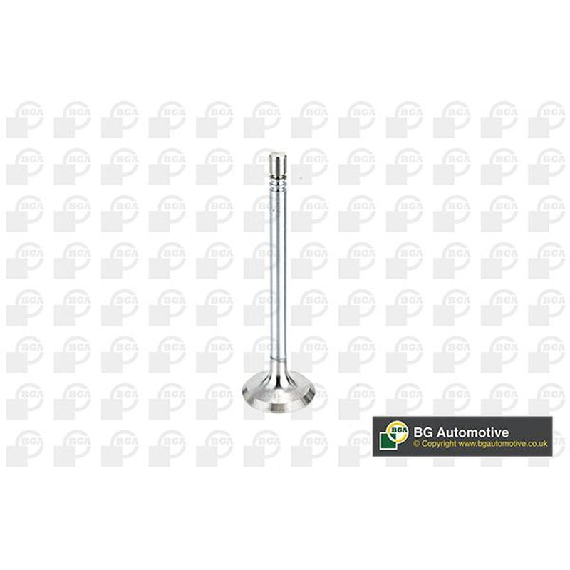 BGA Engine Intake Valve 31mm Head V164660