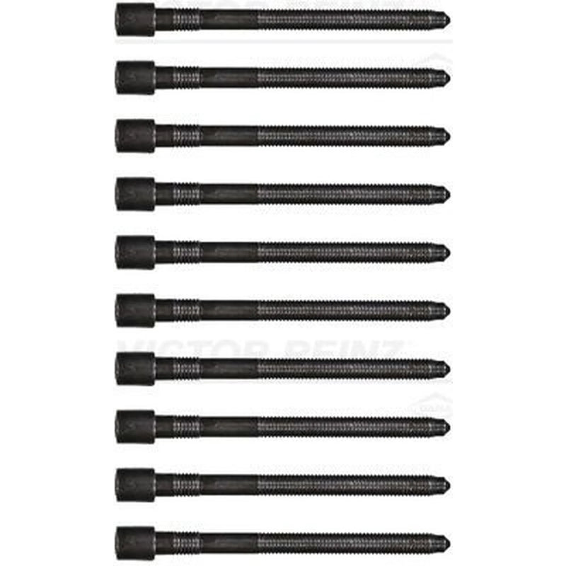 Victor Reinz Cylinder Head Bolt Set M10 14-32124-01