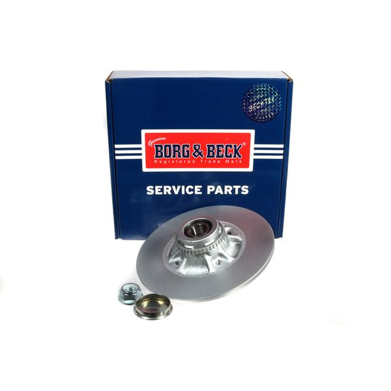 Borg & Beck 2 x Solid Rear Brake Discs BBD5939S