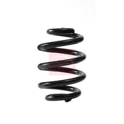 Apec Rear Suspension Coil Spring ACS2413