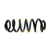 NAPA Rear Suspension Coil Spring NCS1906