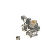 Bosch Fuel Pump Assembly K S00 000 001