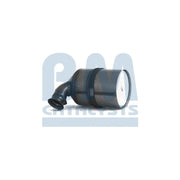 BM Catalysts Dpf BM11103
