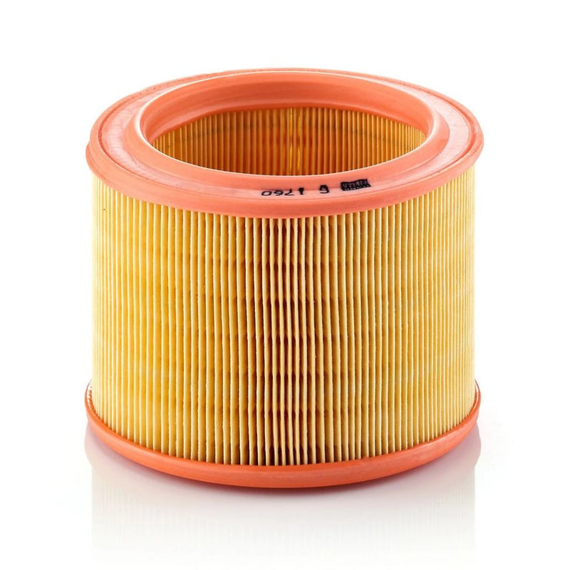 MANN-FILTER Engine Air Filter C 1760