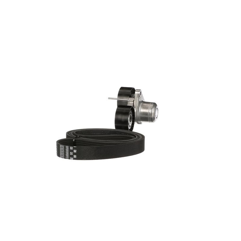 Gates V-Ribbed Belt Set K017PK1973