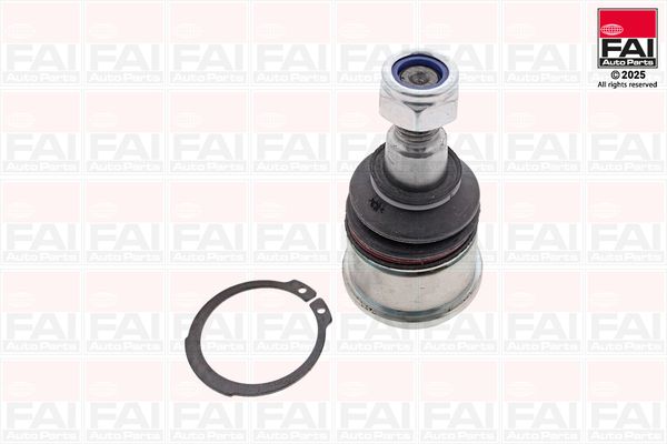 FAI Ball Joint