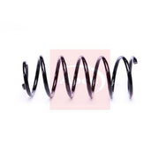 Apec Rear Suspension Coil Spring ACS2253