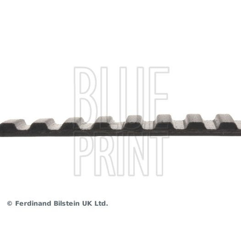 Blue Print Timing Belt Cambelt 119 Teeth ADZ97506