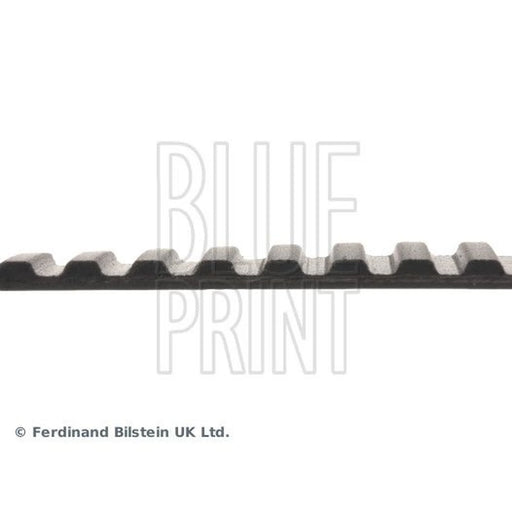 Blue Print Timing Belt Cambelt 119 Teeth ADZ97506