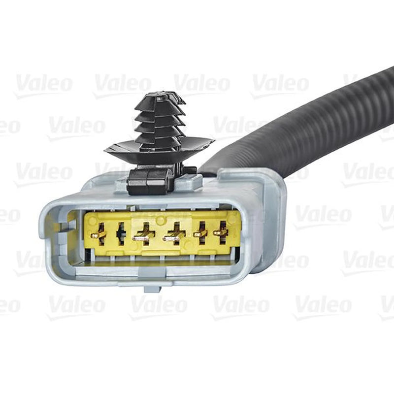 Valeo Exhaust Gas Recirculation Valve 700412