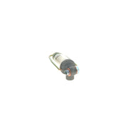 Bosch Fuel Filter Element 1 457 434 000