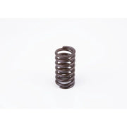 Bosch Compression Spring 2 434 619 017