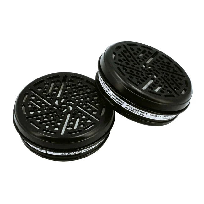 Power-TEC Dust Filters – box of 10 (P3) - PPL