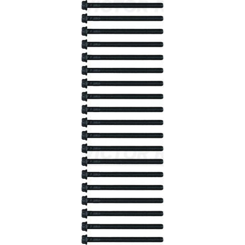 Victor Reinz Cylinder Head Bolt Set M14 14-10309-01