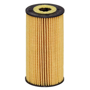 Hengst Engine Oil Filter E212H D231