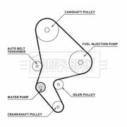 Borg & Beck Timing Belt & Water Pump Kit BTW1019
