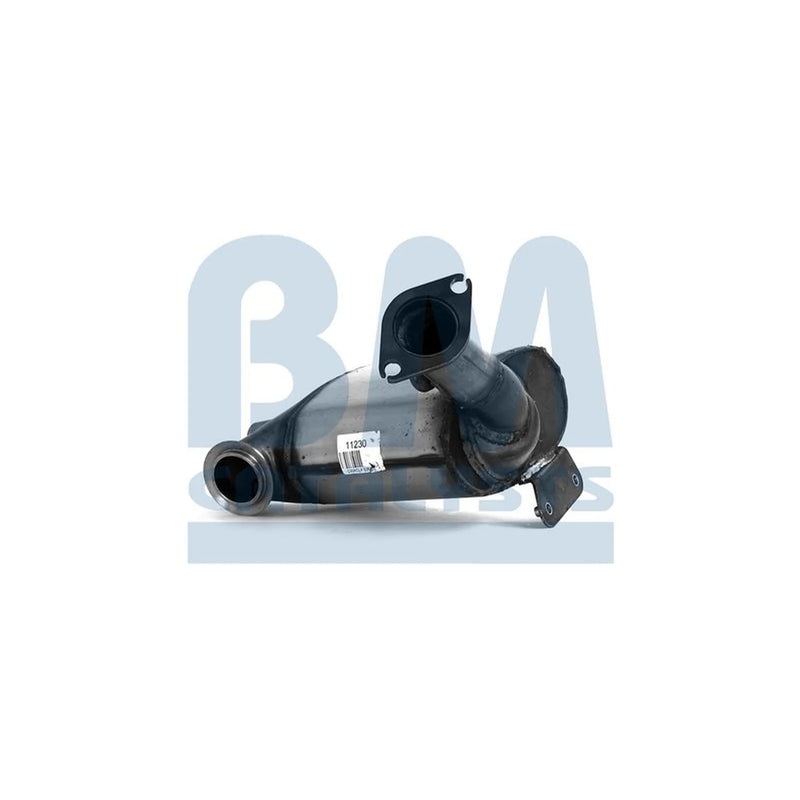 BM Catalysts Dpf BM11230
