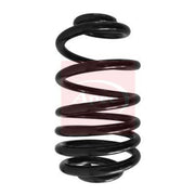 Apec Rear Suspension Coil Spring ACS1570