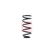 Apec 2 x Suspension Springs ACS1407