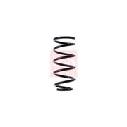 Apec Rear Suspension Coil Spring ACS1407