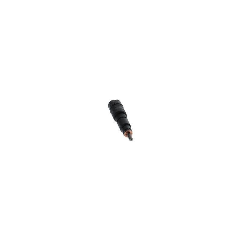 Bosch Injector Nozzle & Holder Assembly 0 432 191 256