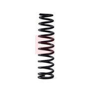 Apec Front Suspension Coil Spring ACS2310