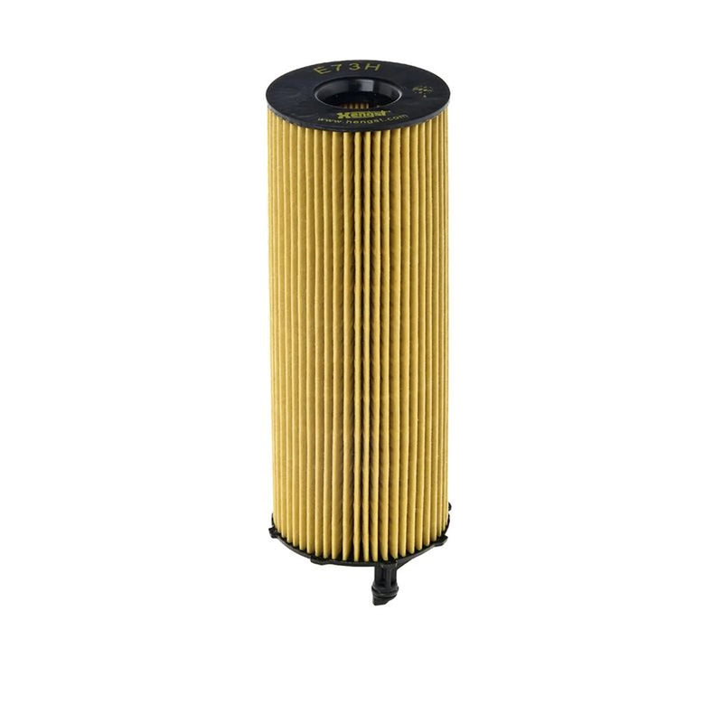 Hengst Engine Oil Filter E73H D207
