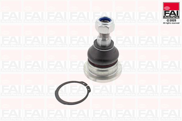 FAI Ball Joint