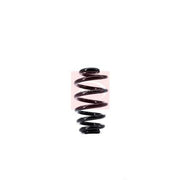 Apec Rear Suspension Coil Spring ACS1372
