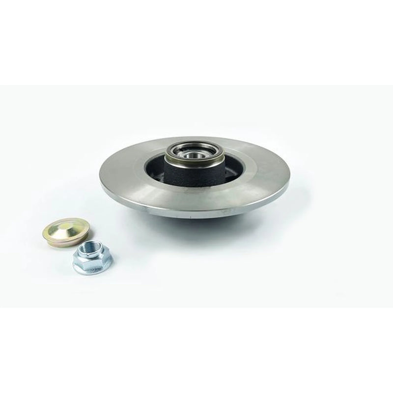 Juratek 2 x Solid Rear Brake Discs REN300C