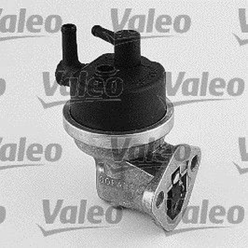 Valeo Fuel Pump Assembly 247100