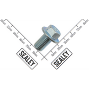 Sealey Oil Drain Screw M12 x 20