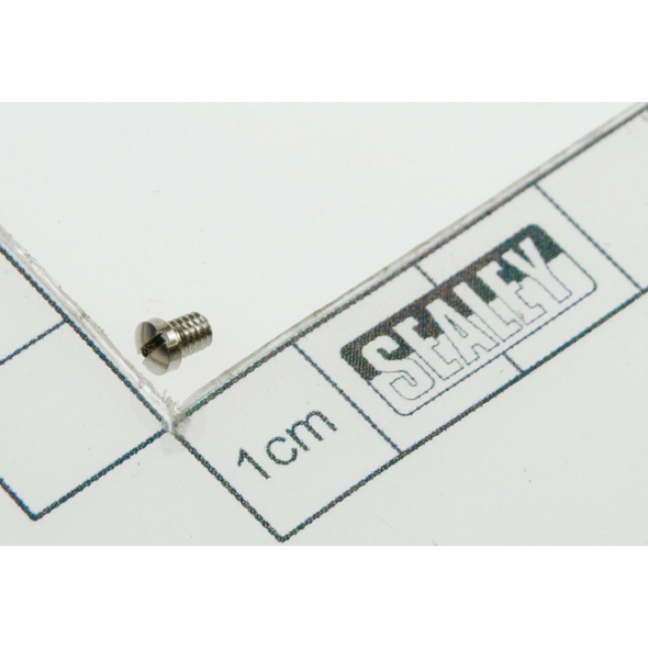 Sealey Guide screw