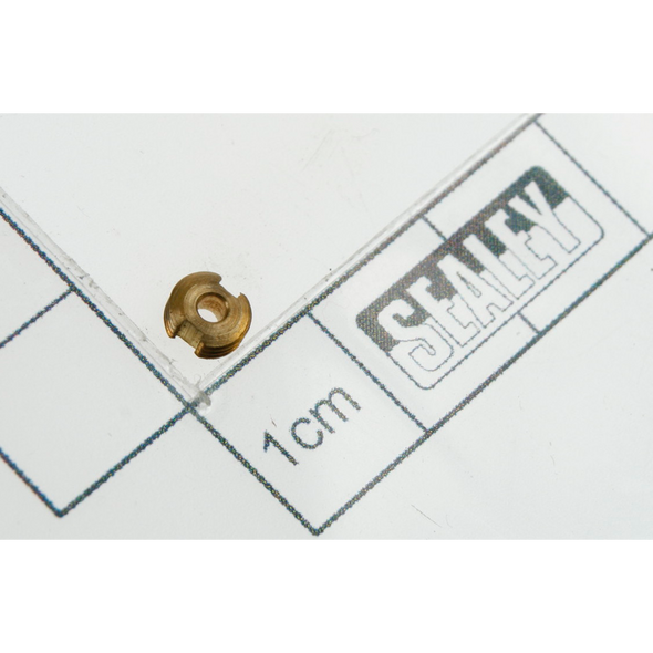Sealey Valve screw