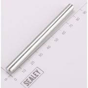 Sealey Axle for roller