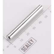 Sealey Axle for roller