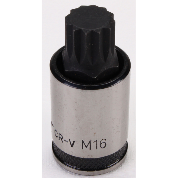 Sealey Spline Socket Bit 1/4"Sq Drive M16 (Black Series)