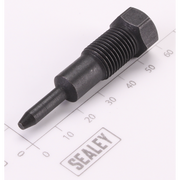 Sealey Drive Pin
