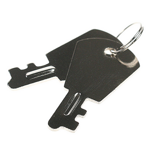 Sealey Key for toolcase (pair)