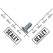 Sealey Self-Tapping Screw ST4.8*30