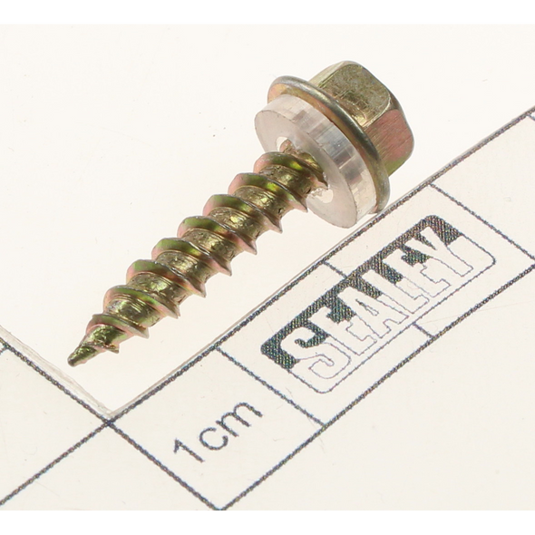 Sealey Bolt, hex flange m4.8x25