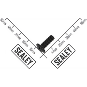 Sealey Fixing Bolt M6x12