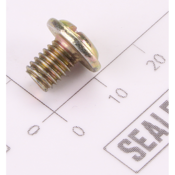 Sealey Screw