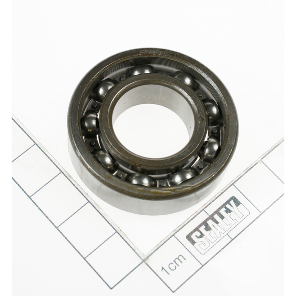 Sealey Bearing 6004