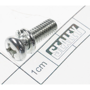 Sealey Phillips screw (c/w spring washer) m6x20